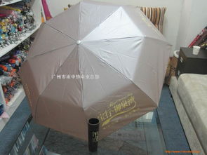 廣州市雨中情傘業總部