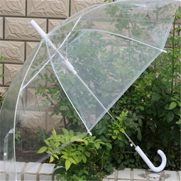 朝輝傘業加盟 加盟費多少錢 電話 怎么樣