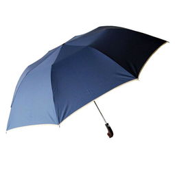 天堂傘 強力拒水防紫外線8k自開二折鋼傘 一甩干 213e 藏青