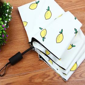 騰云傘業 項目簡介 價格費用 可以加盟嗎