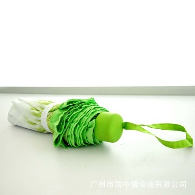 現貨韓版傘 廠家熱銷 21寸三折仿真白菜創意傘 - 現貨韓版傘 廠家熱銷 21寸三折仿真白菜創意傘廠家 - 現貨韓版傘 廠家熱銷 21寸三折仿真白菜創意傘價格 - 廣州市雨中情傘業 - 