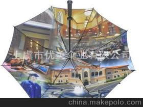 熱轉印雨傘供應商,價格,熱轉印雨傘批發市場 