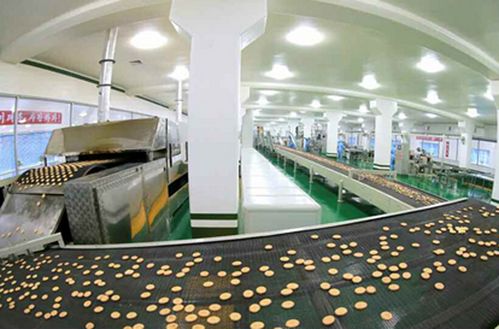 金正恩視察平壤食品廠