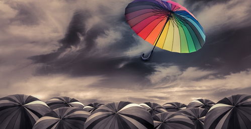 梅花傘 的跨國之戀,從廣交會的第一筆外單開始