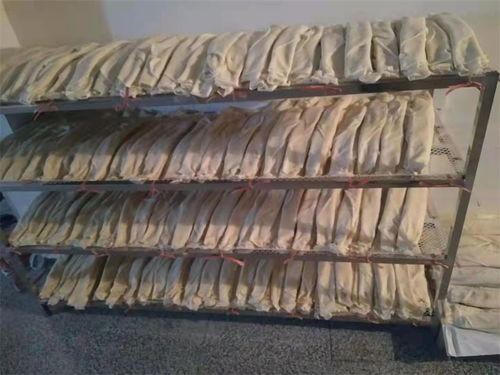 鄉風鄉韻醉鄉人 農家土灶豆絲香 鄂州市裕興食品加工廠尋訪小記