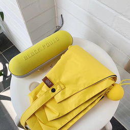 宋結海 用19年時間,在一千多家傘企中脫穎而出