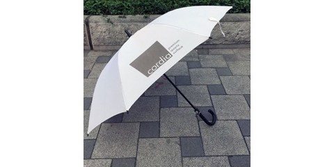 廣州牡丹王傘業 專業定制廣告雨傘直柄與廣告雨傘的卓越選擇